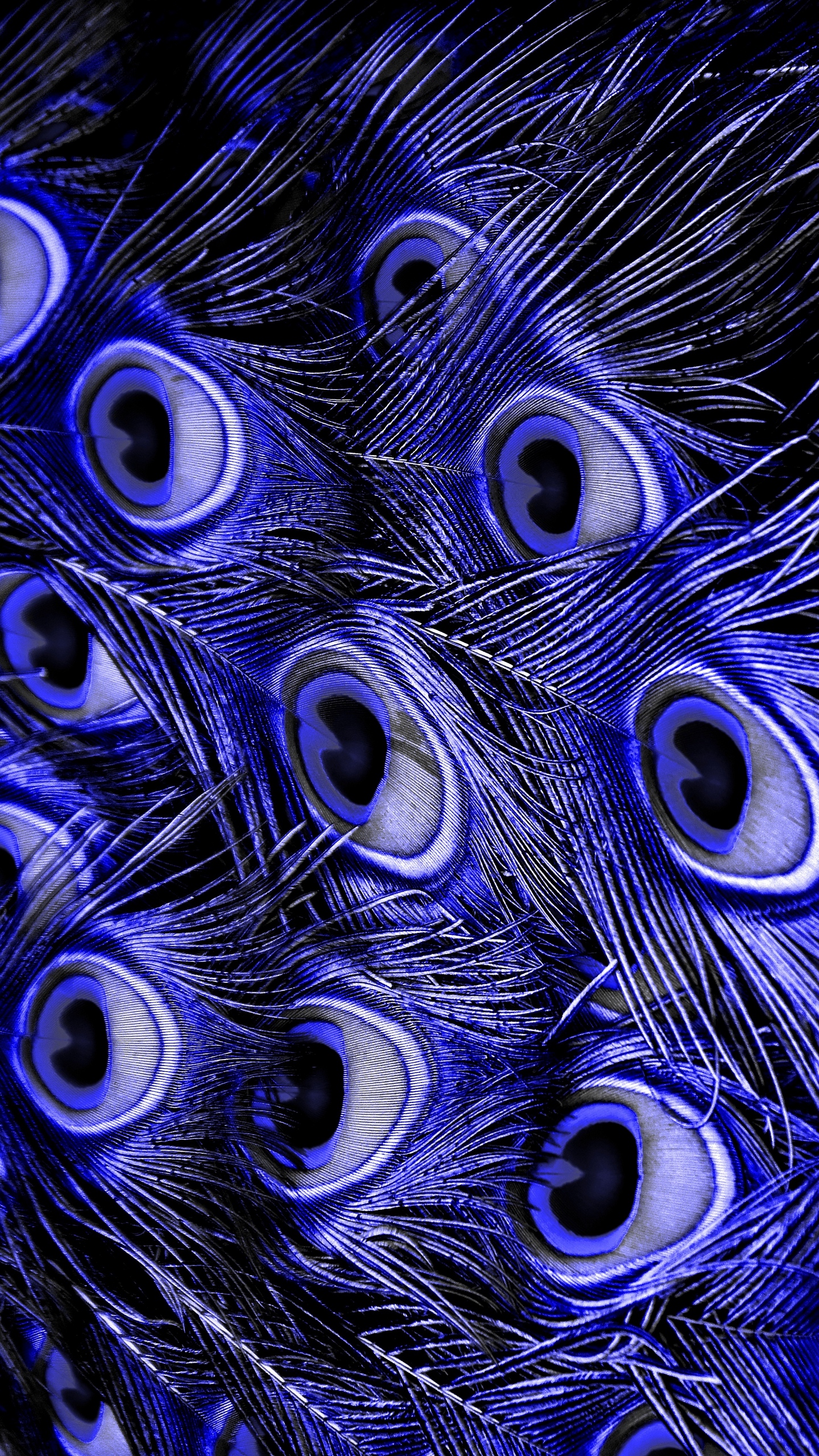 Wallpaper Feathers, Flamingo, Patterns, Lilac, Purple - Lilac - HD Wallpaper 