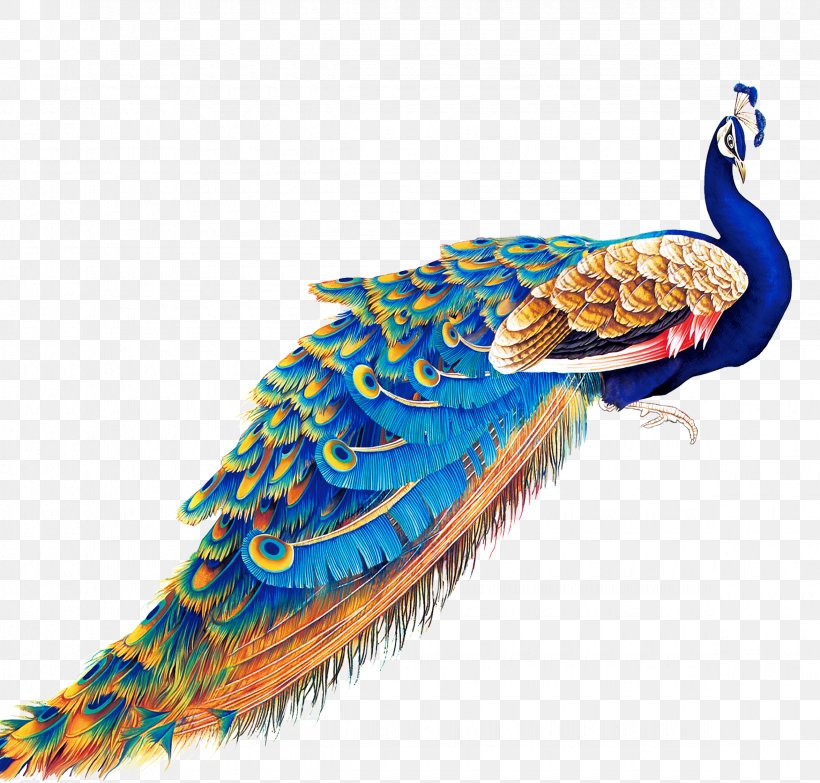 Peafowl Display Resolution Wallpaper, Png, 2350x2245px, - Painting Colours Of Peacock - HD Wallpaper 