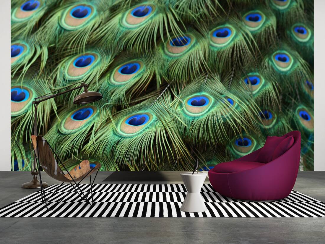 Livingwalls Photo Wallpaper Peacock - Livingwalls Titanium 35999 1 - HD Wallpaper 
