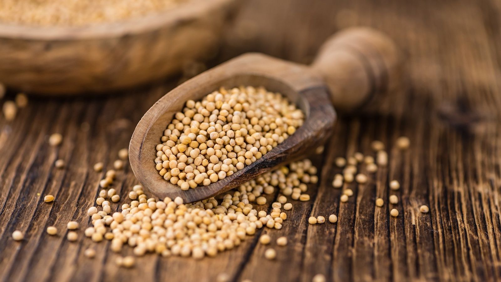 Mustard Seed - HD Wallpaper 