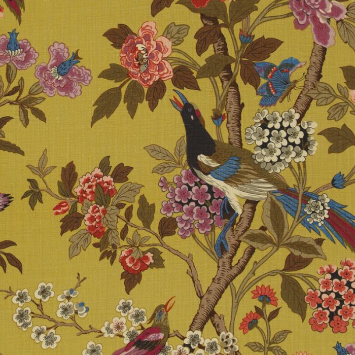 Hydrangea Bird - HD Wallpaper 