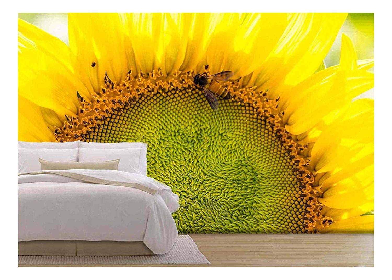 Sunflower - HD Wallpaper 