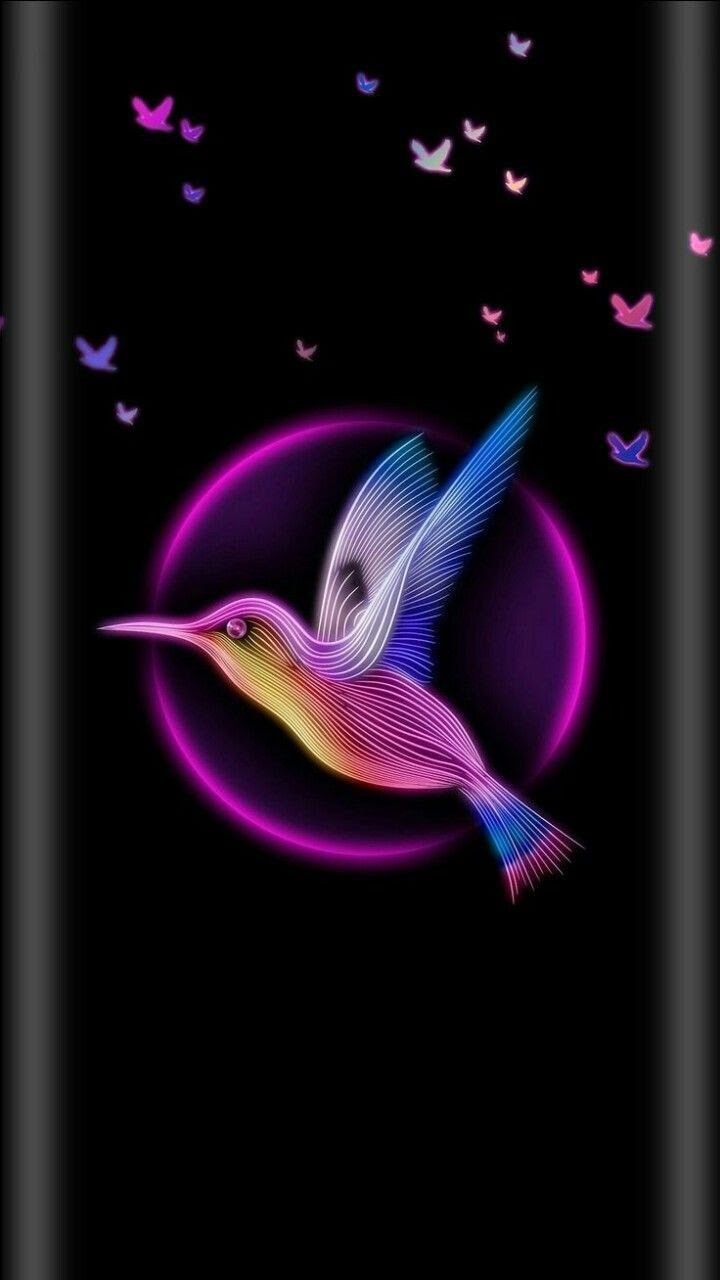 Amoled Wallpaper Butterfly - HD Wallpaper 