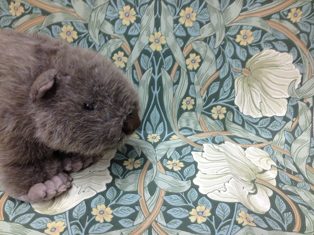 William Morris Tapet Pimpernel Red - HD Wallpaper 