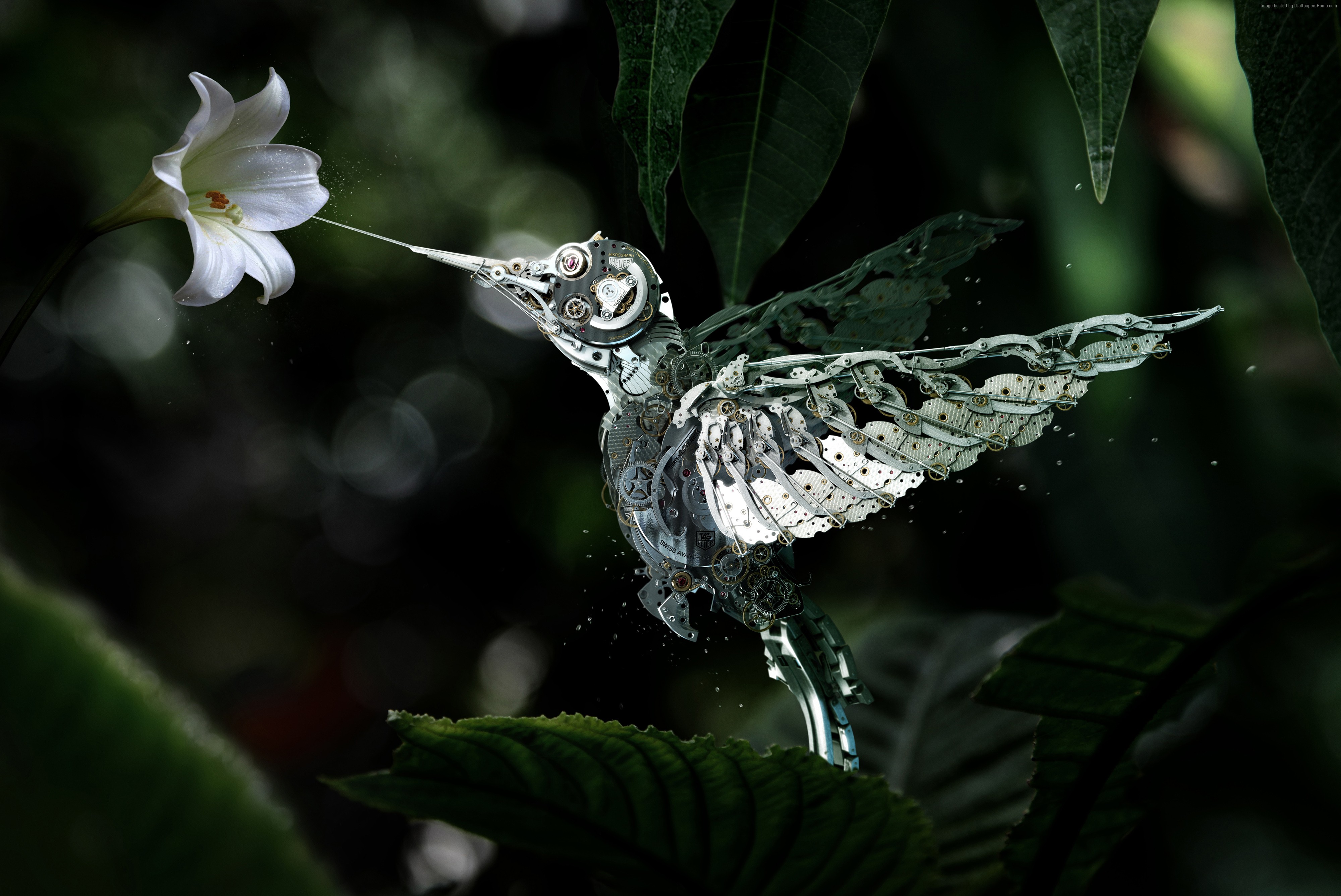 Mechanical Hummingbird - HD Wallpaper 