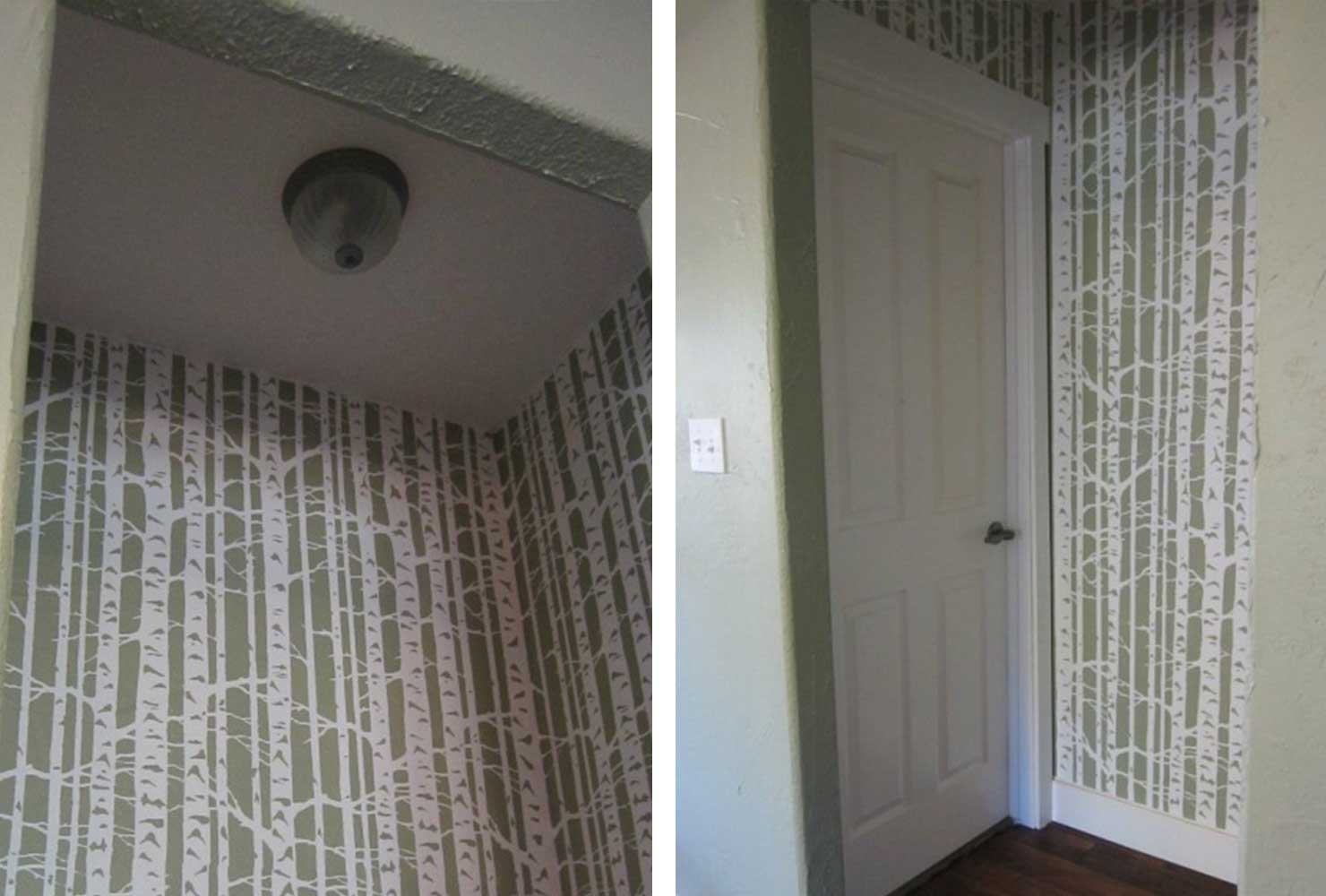 Wallpaper Shows A Forest - Birch Forest - HD Wallpaper 