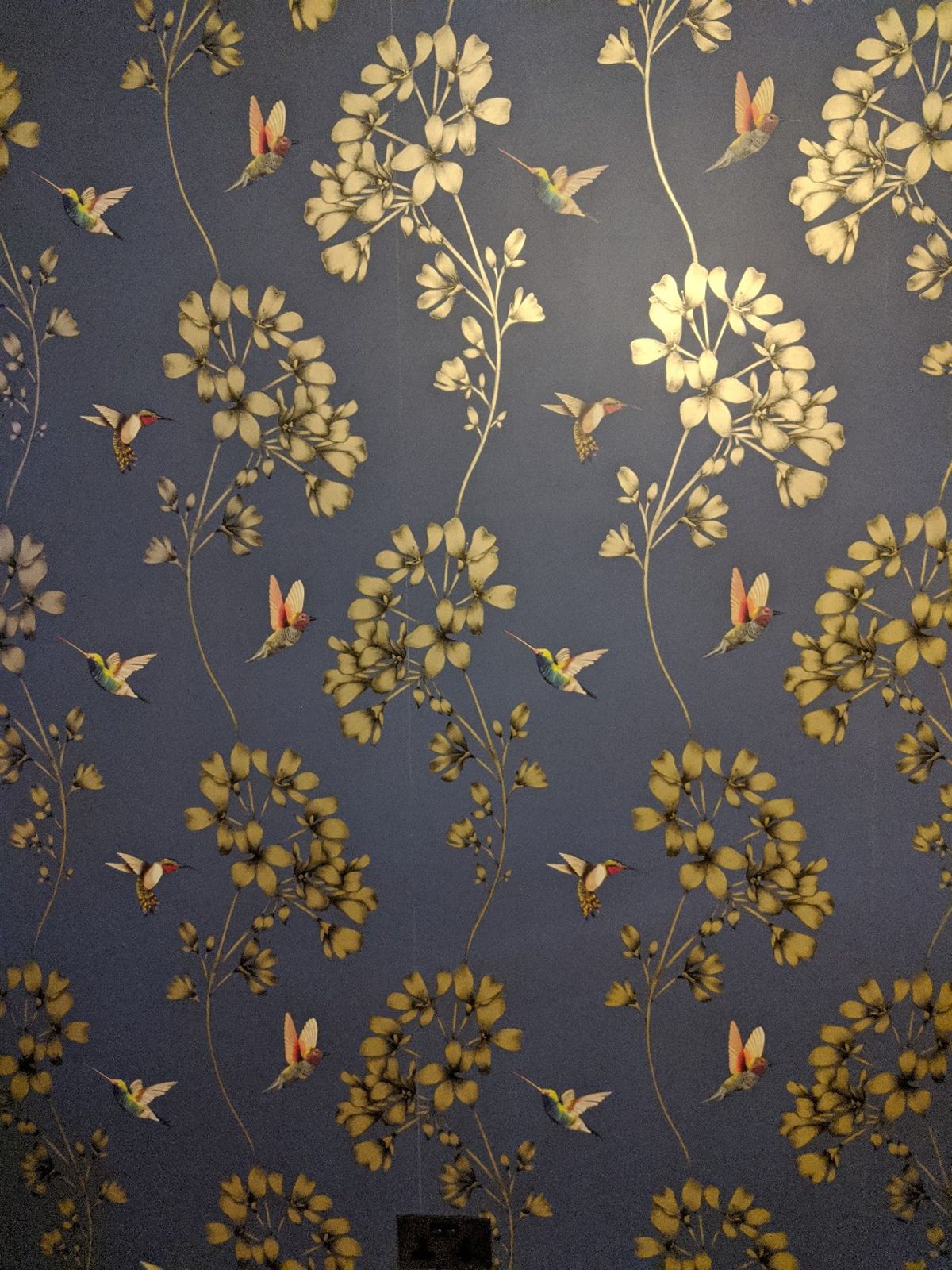 111059
batch Bm
pattern Repeat - Tapeta Ścienna W Ptaki - HD Wallpaper 