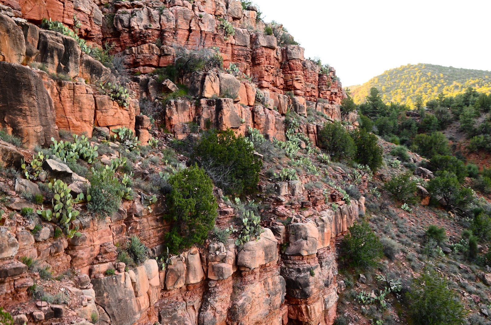 Avril Lavigne Wallpapers - Canyon - HD Wallpaper 