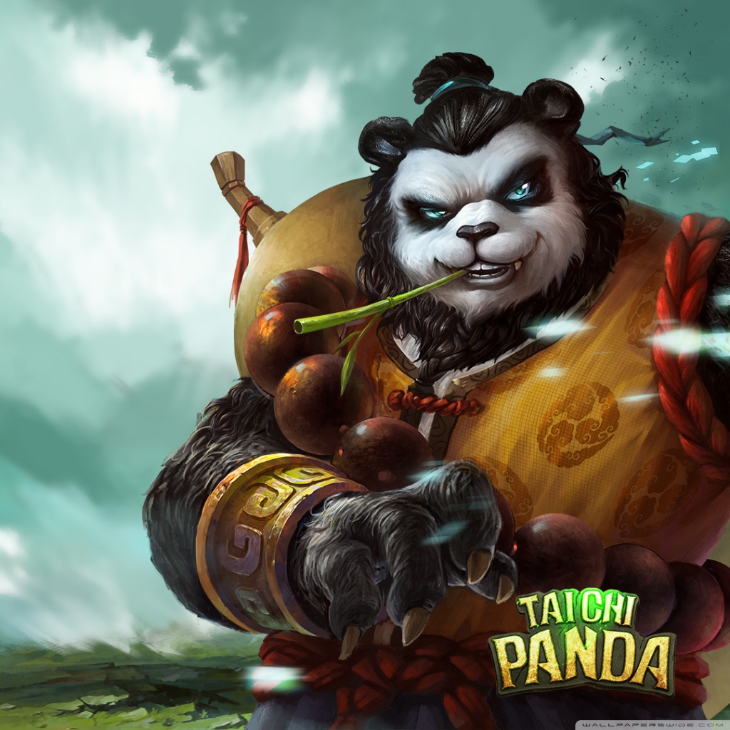 Taichi Panda - HD Wallpaper 