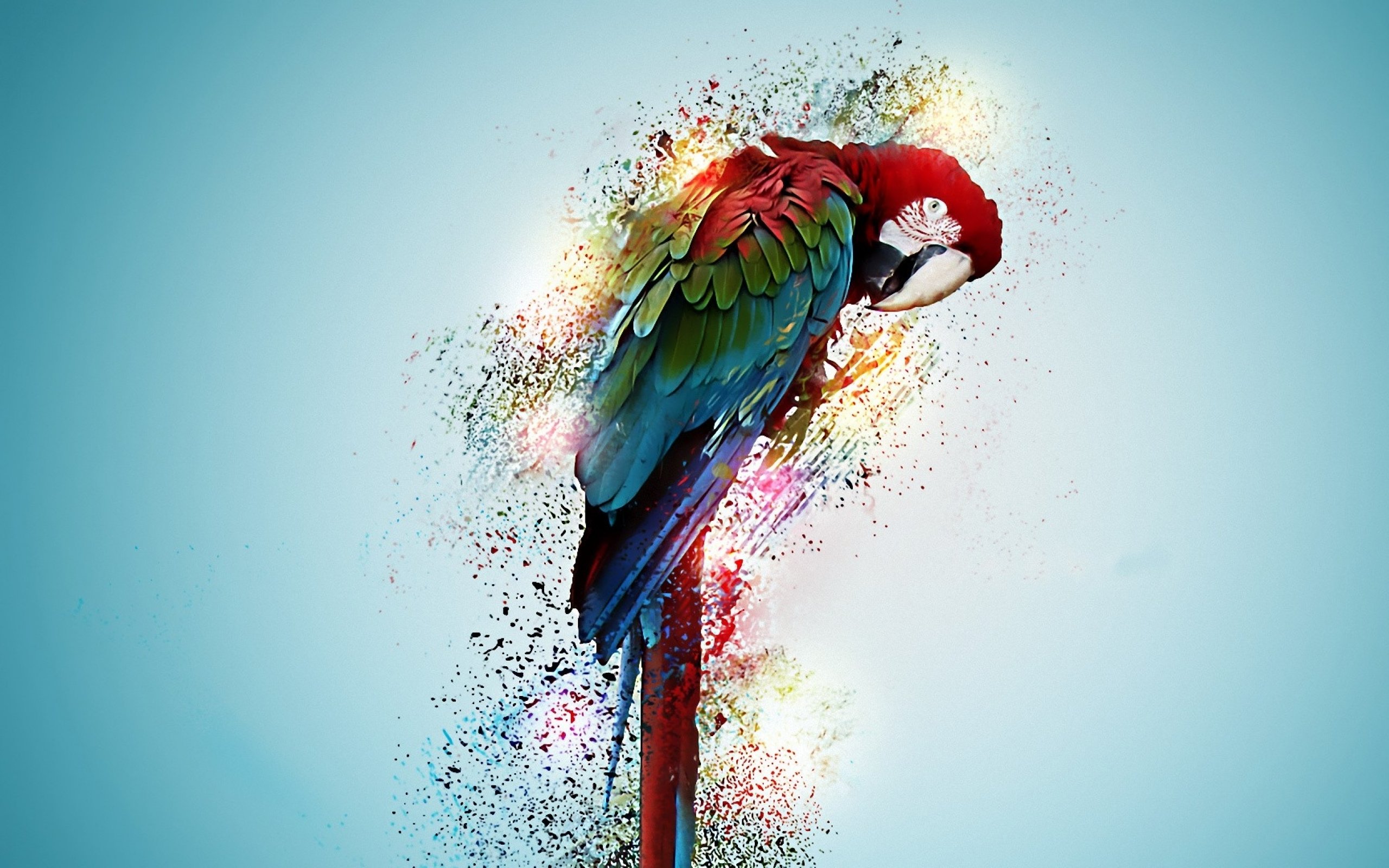 Parrot Bird Tropical Digital Art Wallpaper Hd - Parrot Bird - HD Wallpaper 