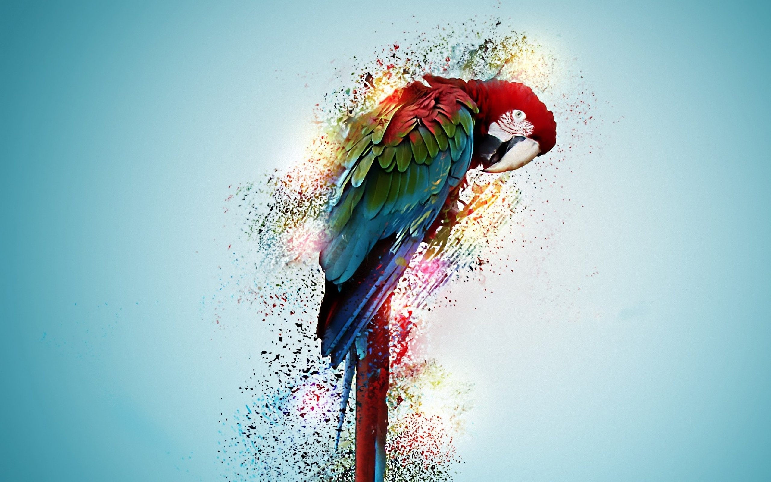 Parrot Bird Tropical Digital Art Wallpaper Hd - Parrot Bird - HD Wallpaper 