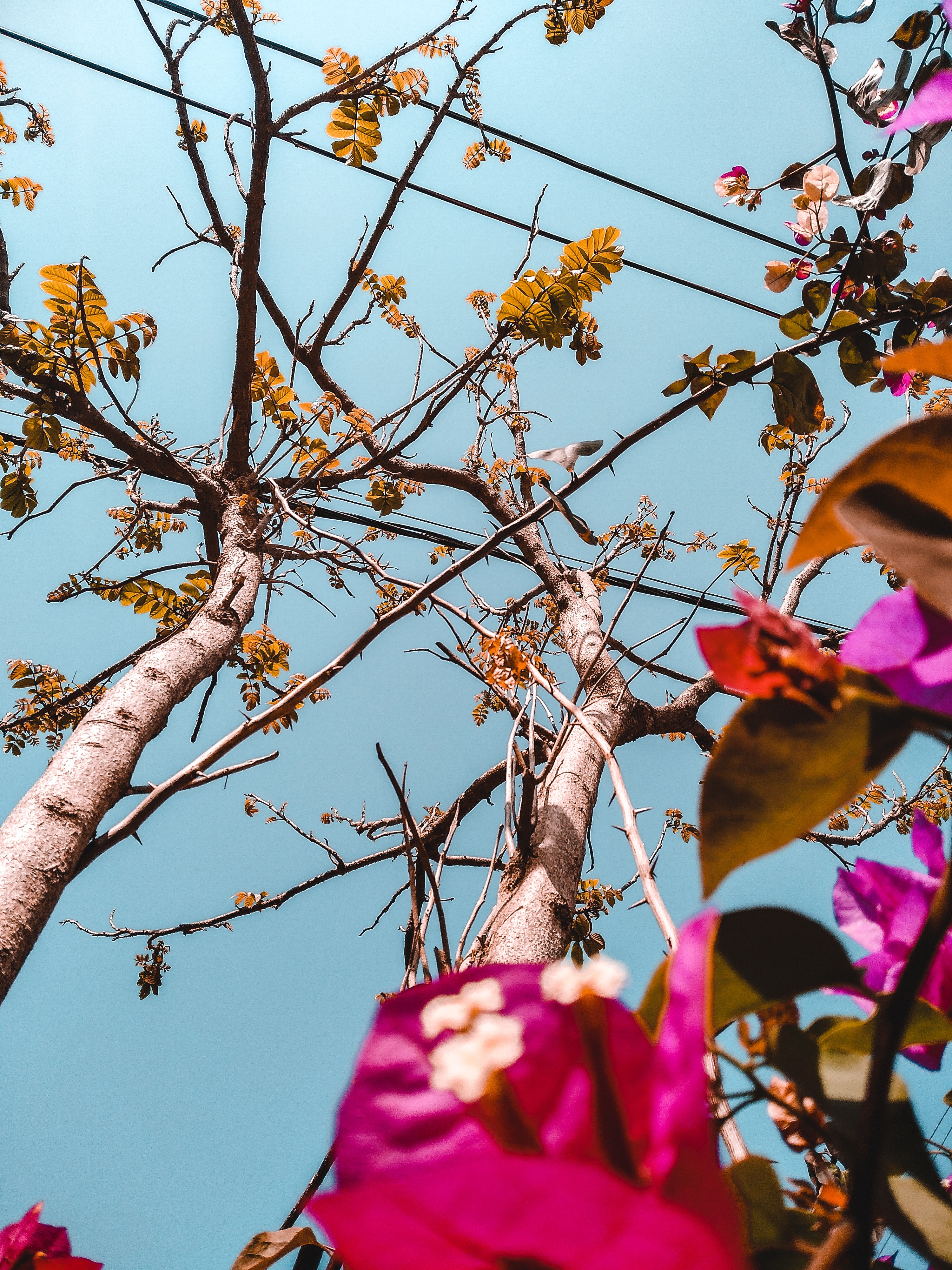 Imágenes Bonitas De Fondo Pantalla - HD Wallpaper 