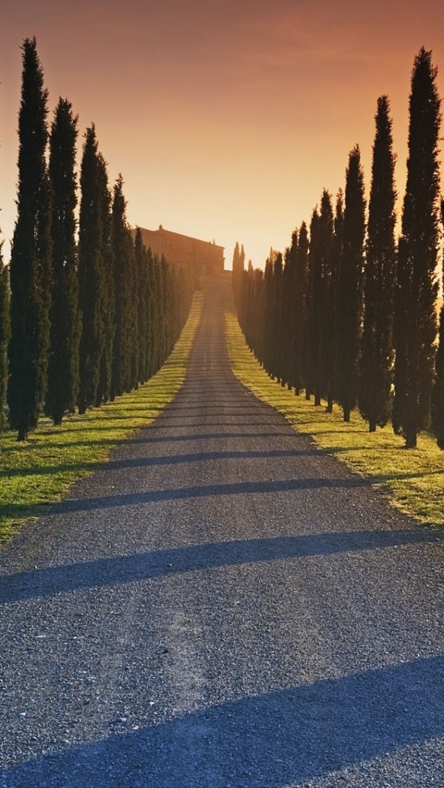 Trees Italy Roads Iphone Wallpaper - Italy Roads - HD Wallpaper 