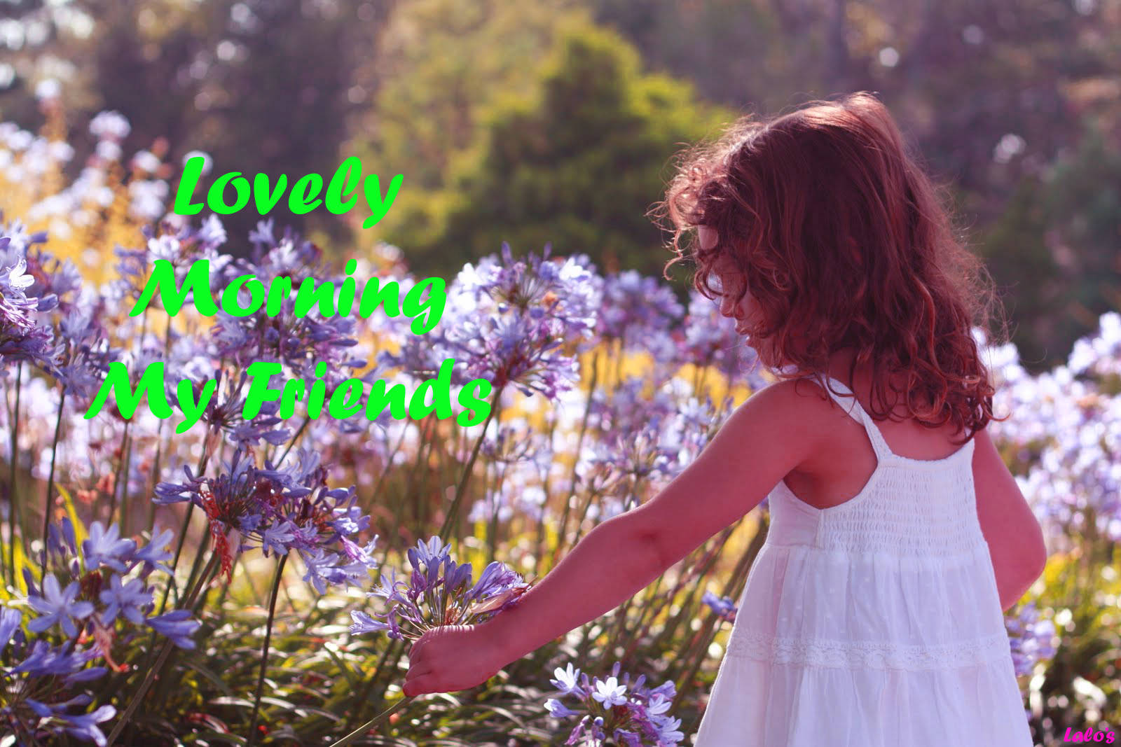 Lovely Friends Wallpaper - Good Morning Images For Friends With Lovely - HD Wallpaper 