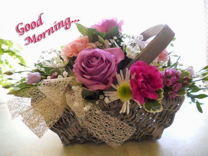Good Morning Flowers Lovely - HD Wallpaper 