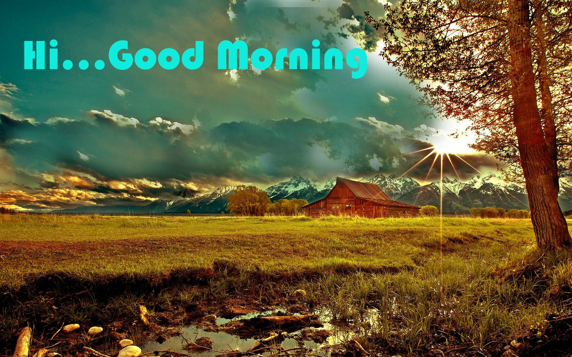 Good Morning Friends Images For Facebook 
 Data Src - Hi Good Morning Images Hd - HD Wallpaper 