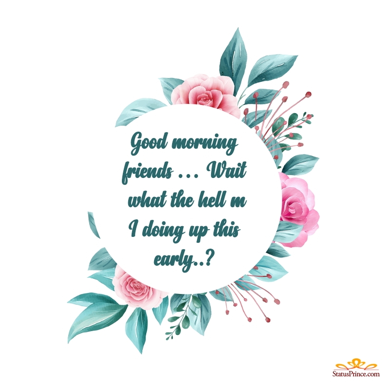 Round Flower Png - HD Wallpaper 