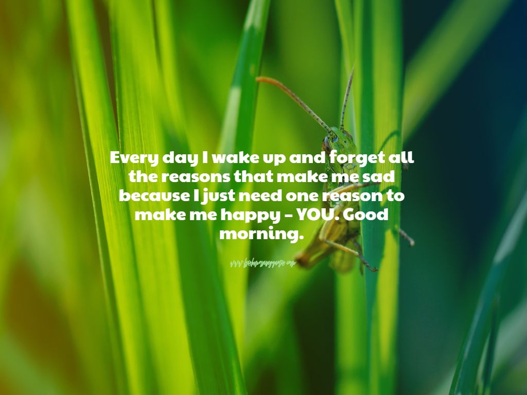 Good Morning Quotes For Her - 5 Moves Like Jagger Lyrics - HD Wallpaper 