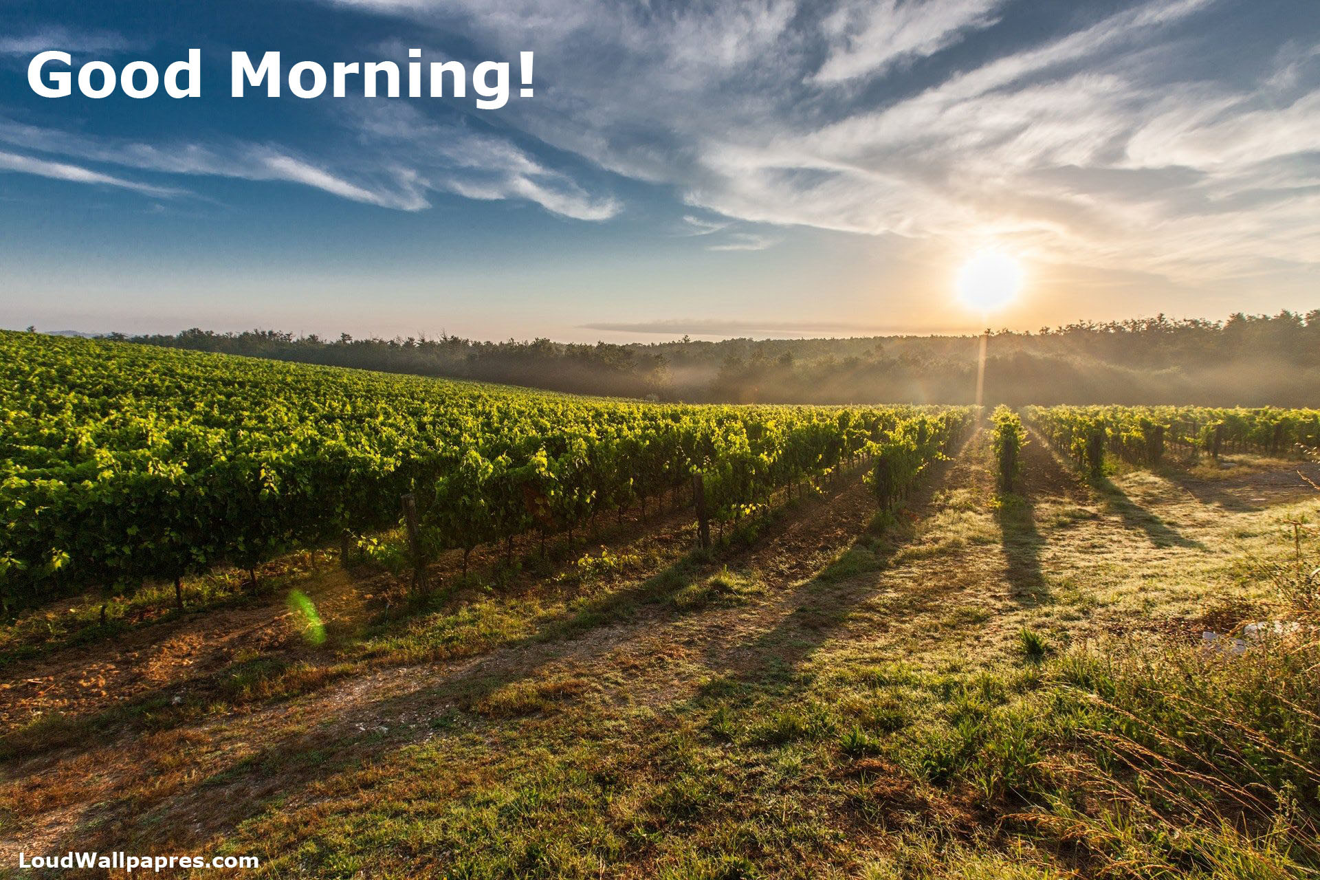 Early Morning Village Hd Wallpaper With Quotes 
 Data - Good Morning Image Village - HD Wallpaper 