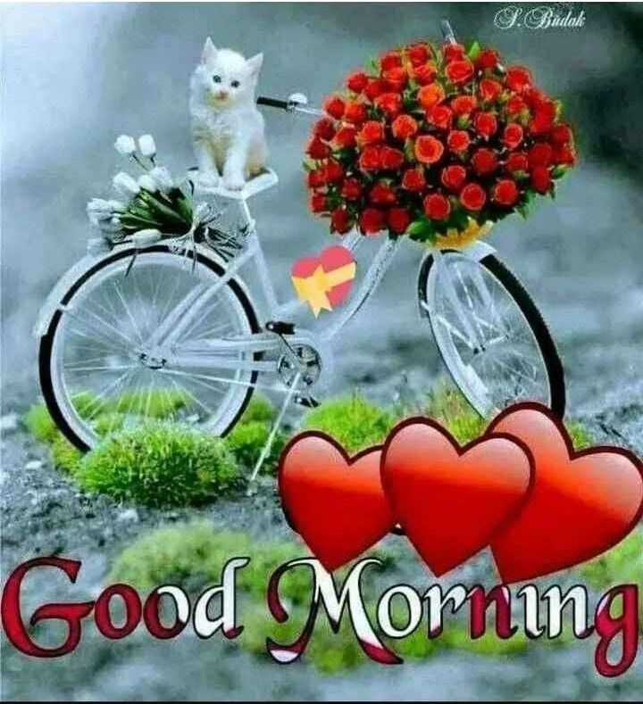 Good Morning Photos New 2019 - HD Wallpaper 