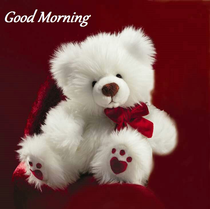 Cute Good Morning Teddy Bear Images - White Teddy Bear With Roses - HD Wallpaper 