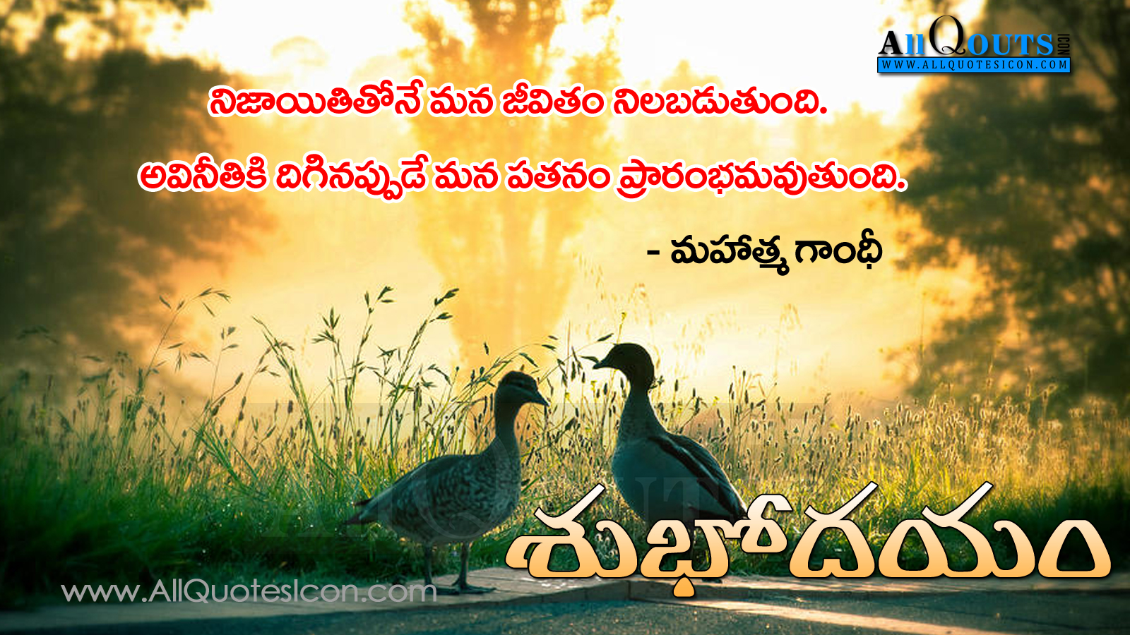 Best Telugu Subhodayam Images With Quotes Nice Telugu - HD Wallpaper 