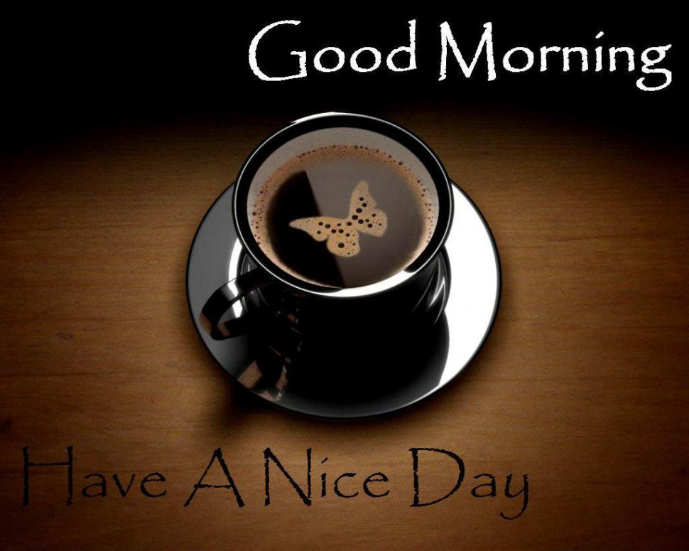 Good Morning Have A Nice Day Wishes Quotes Wallpaper,good - Gm Pic Hd Download - HD Wallpaper 