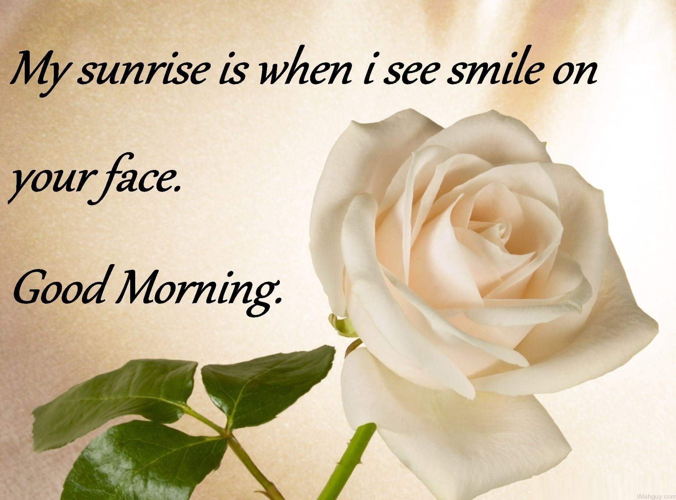 Good Morning True Love Quotes - Good Morning Smile Wishes - HD Wallpaper 