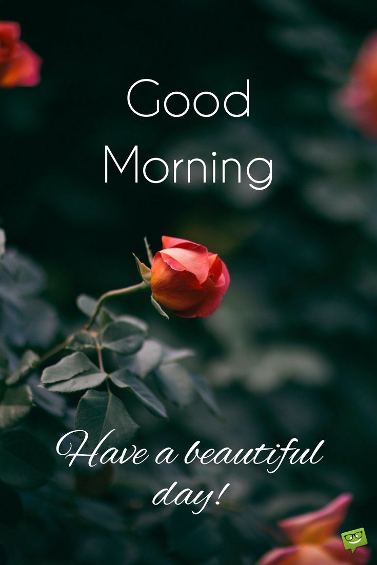 Beautiful Good Morning Wishes - HD Wallpaper 