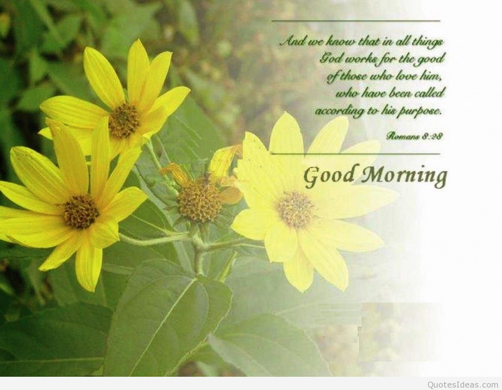 Romantic Good Morning Images With Quotes Hd - HD Wallpaper 