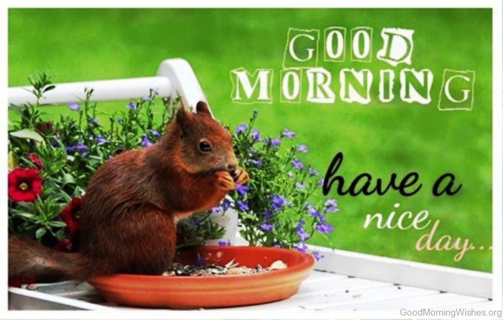 Funny Good Morning Picture - Lovely Cute Good Mornings - HD Wallpaper 