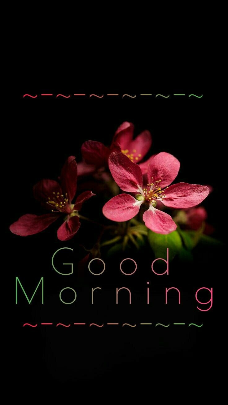 Bonjour Friday - HD Wallpaper 