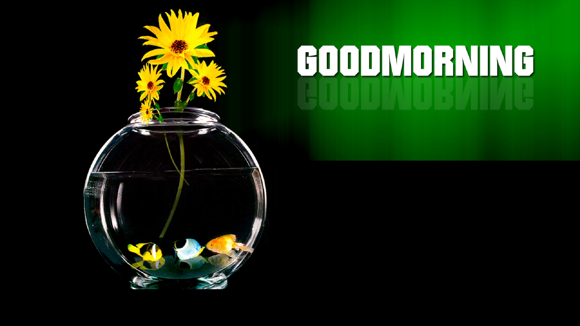 Good Morning Care With Love Happiness Wallpapers And - Good Morning With Flowers Hd - HD Wallpaper 