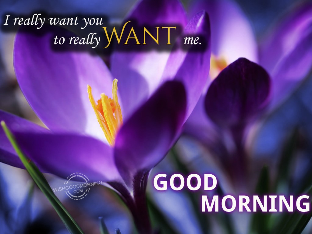 Good Morning I Want You - HD Wallpaper 