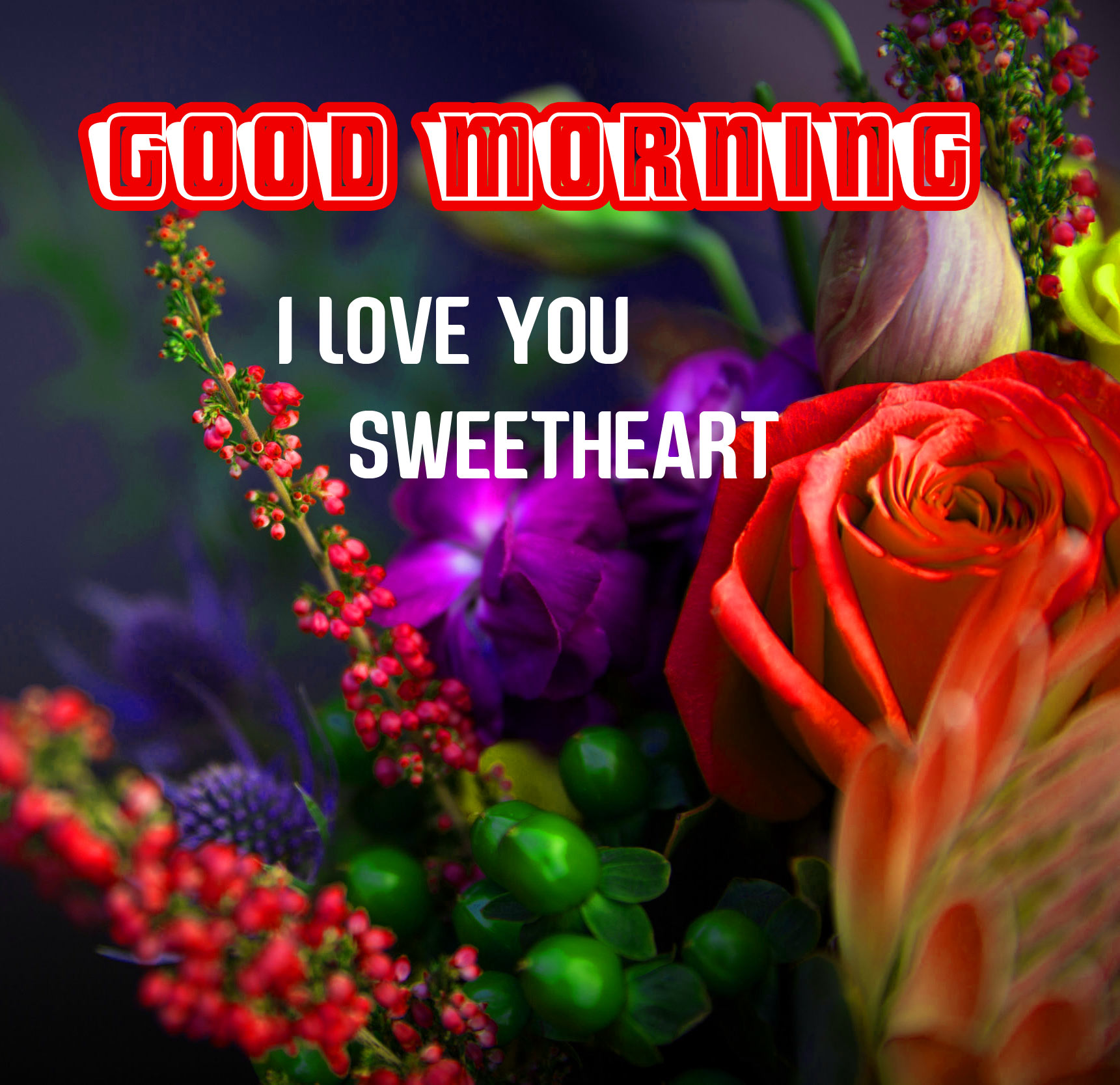 Wife Good Morning Wallpaper For Status - پروفایل عکس دسته گل برای دوست دختر - HD Wallpaper 