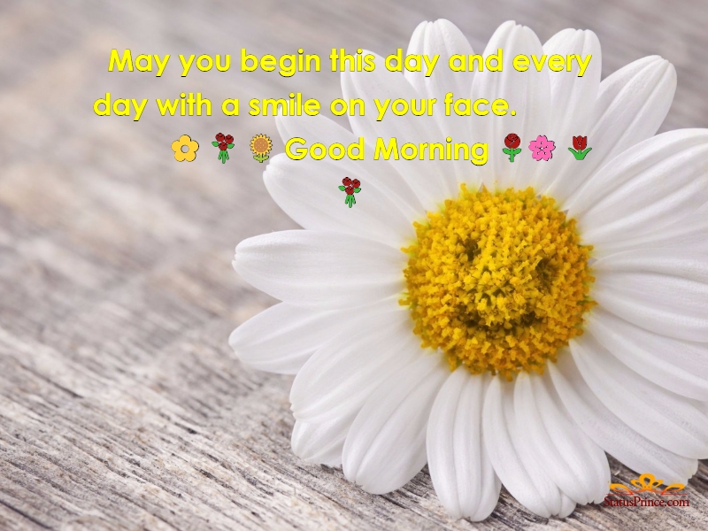 Once You Replace Negative Thoughts With Positive Ones - HD Wallpaper 