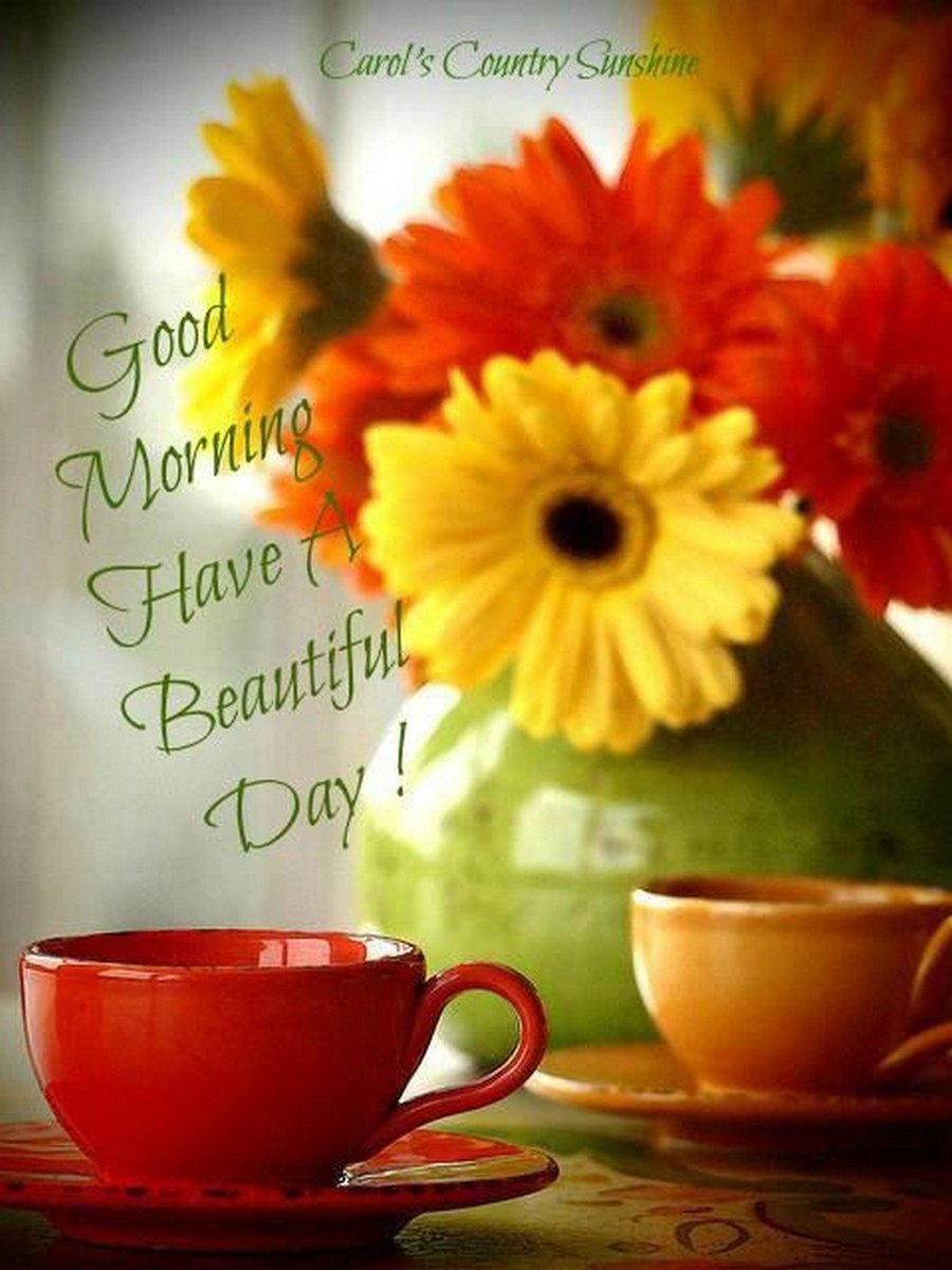 Good Morning Beautiful Morning - HD Wallpaper 
