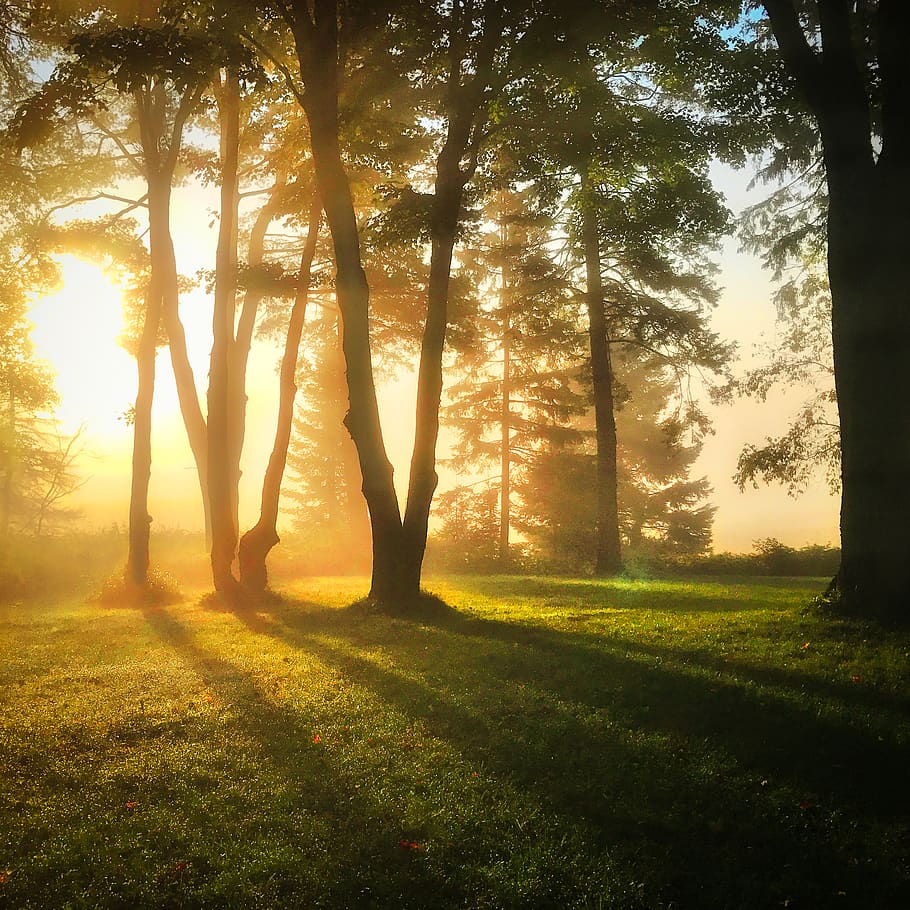 Sunlight - HD Wallpaper 