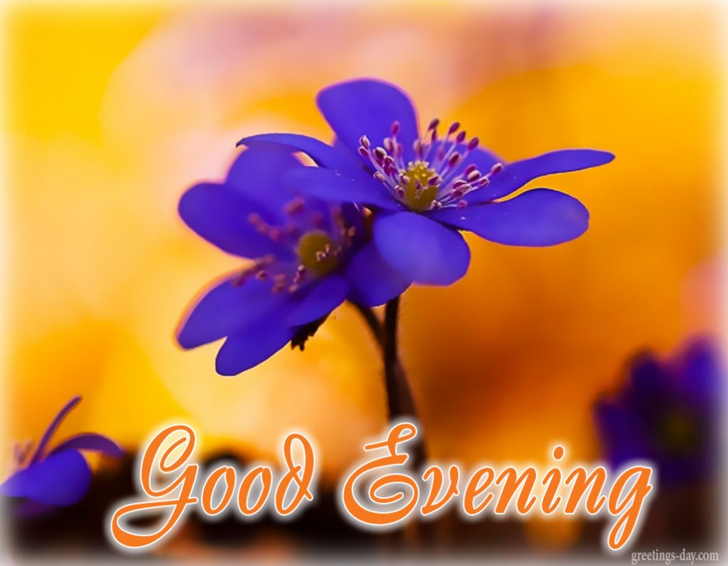 Good Evening Love Pic Hwb29449 - Good Evening Images Come - HD Wallpaper 