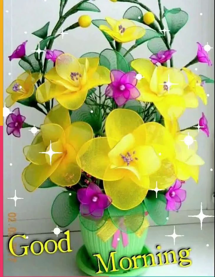 Animated Good Morning Images For Whatsapp - Beautiful Whatsapp Good Morning - 730x940 Wallpaper Animated Good Morning Images For Whatsapp - Beautiful Whatsapp Good Morning - 730x940 Wallpaper
