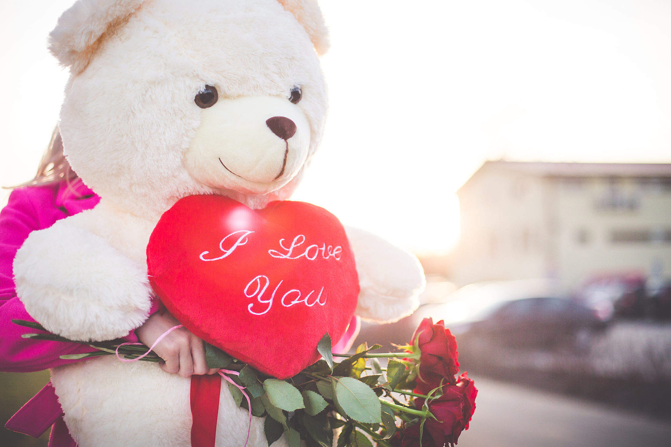 Teddy Day Images Download - HD Wallpaper 