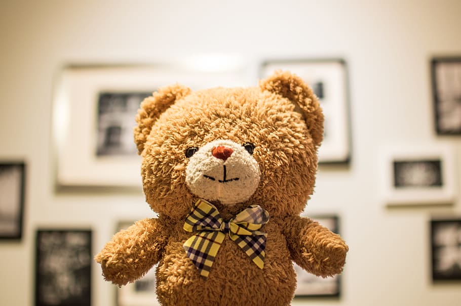 Brown Bear Plush Toy, Cute, Stuffed Animal, Stuffed - Fondo De Pantalla De Oso De Peluche 4k - HD Wallpaper 