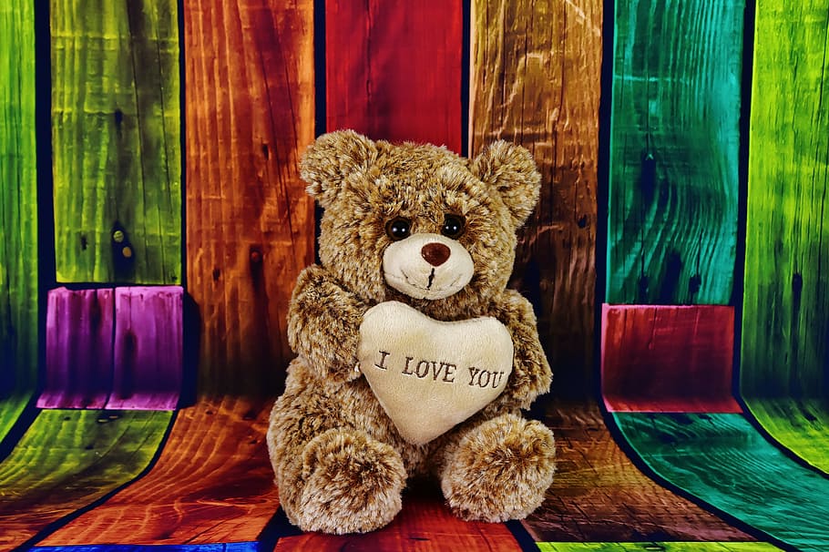 Brown Bear Plush Toy, Teddy, Cute, Teddy Bear, Cloth - Teddy Bear - HD Wallpaper 