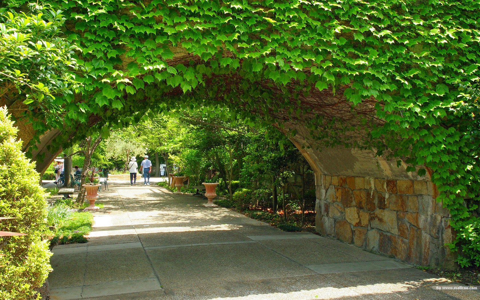 Kuk Garden Images, - HD Wallpaper 