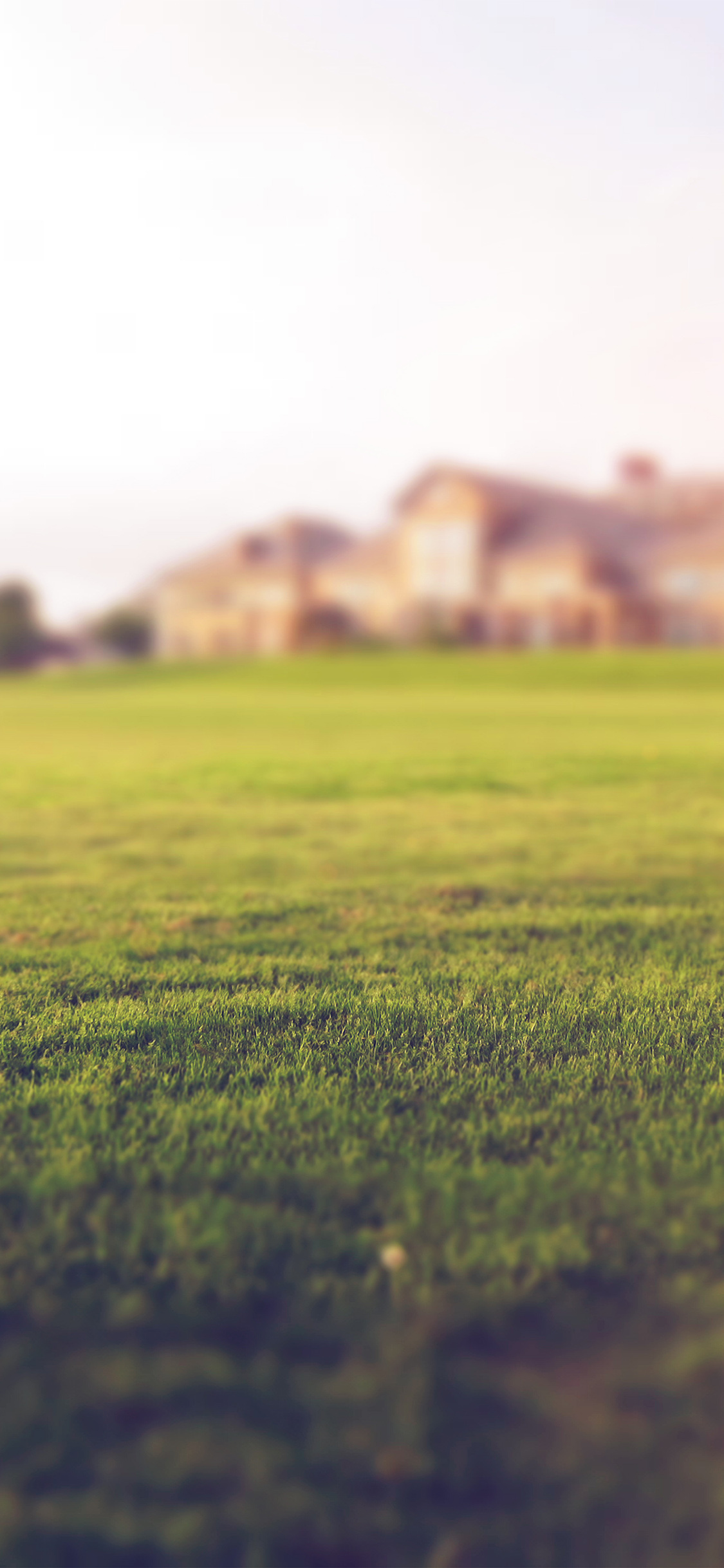 Com Apple Iphone Wallpaper Nc51 Garden Nature Green - Garden I Phone 6 - HD Wallpaper 