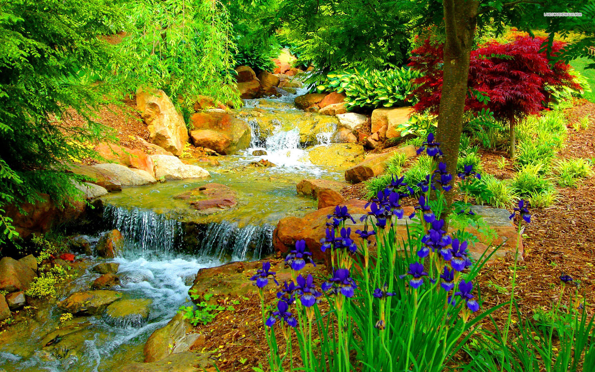 12 Beautiful Garden Hd Wallpapers For Desktop - Beautiful Flower Garden Hd - HD Wallpaper 