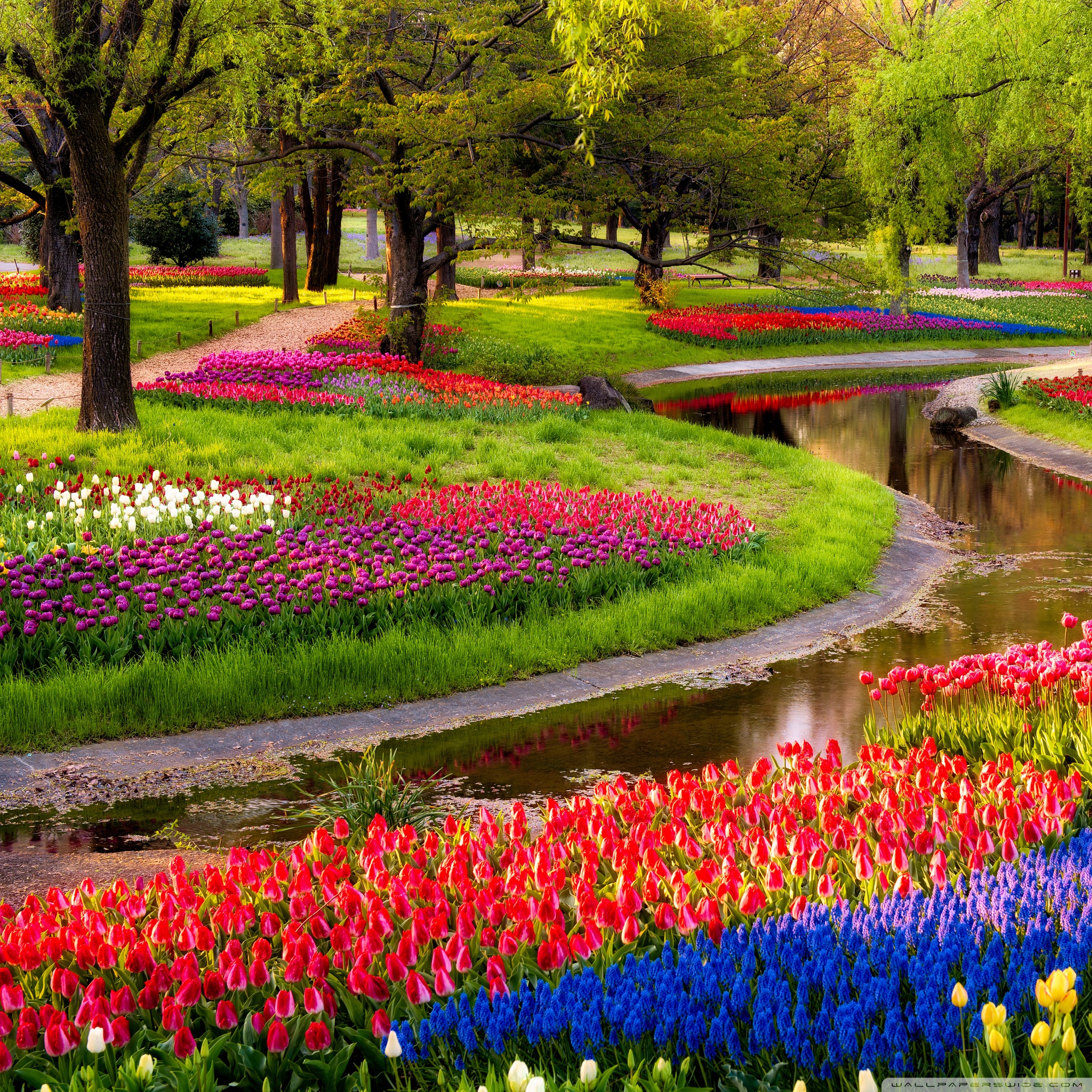 Spring Wallpaper Ipad Air 2 - HD Wallpaper 