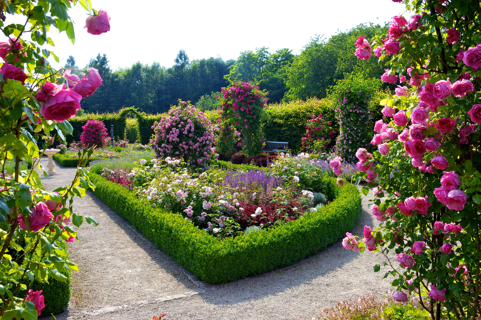 Beautiful Wallpapers Of Flower Gardens - HD Wallpaper 