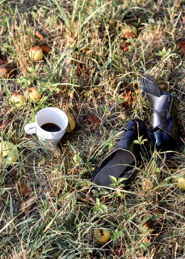 Grass - HD Wallpaper 