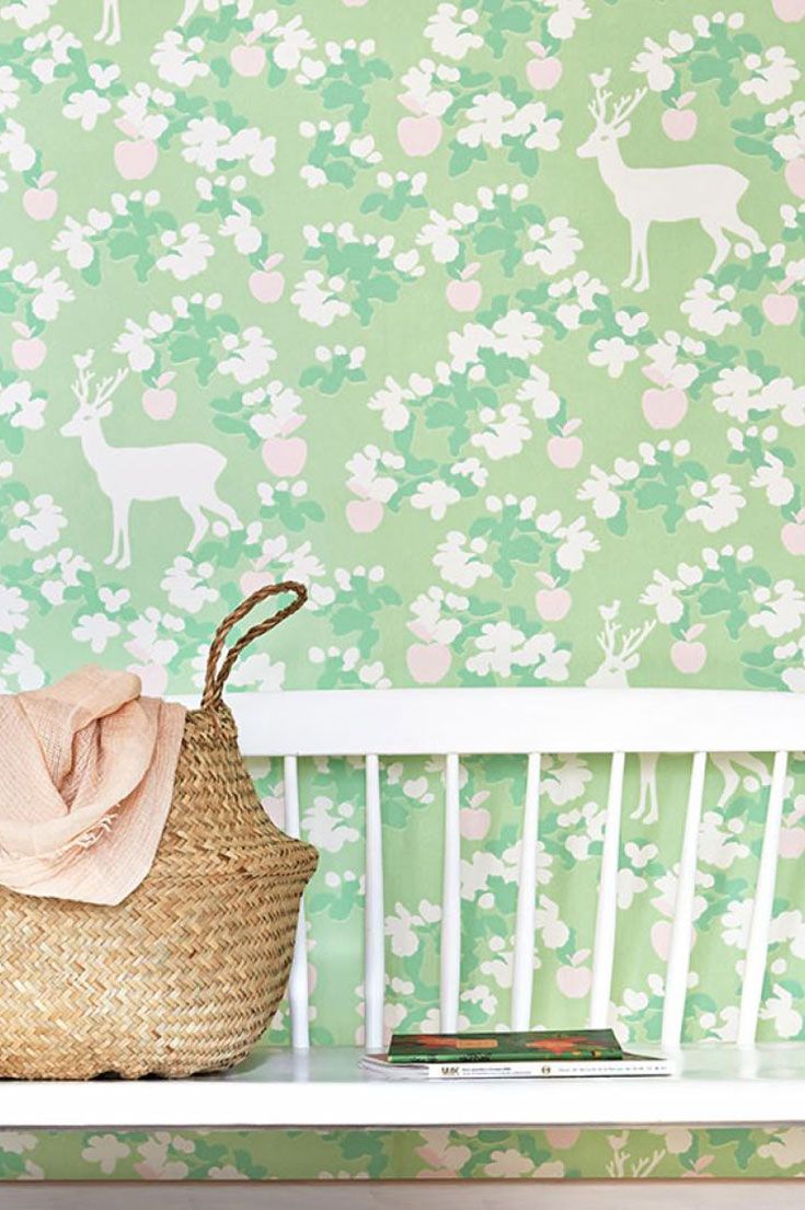 Apple Garden Tapetti - HD Wallpaper 